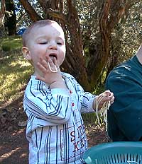 {short description of image}