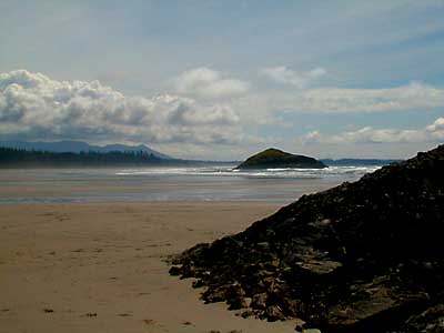 {short description of image}