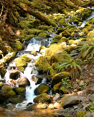 Sol Duc Falls 